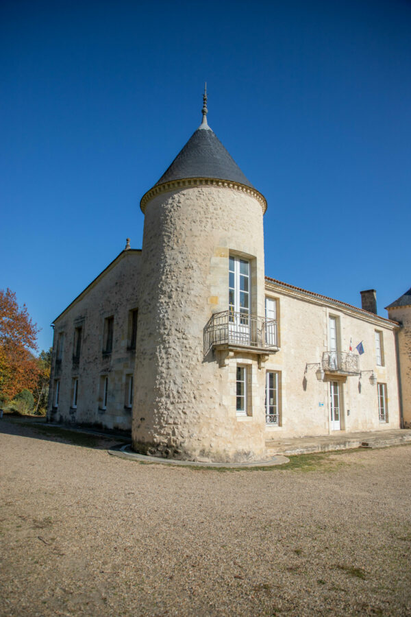 Carine - Bleu Paon – Image 4