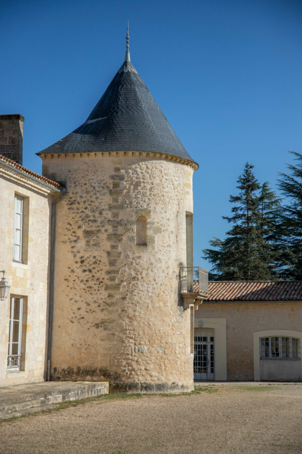 Carine - Bleu Paon – Image 10