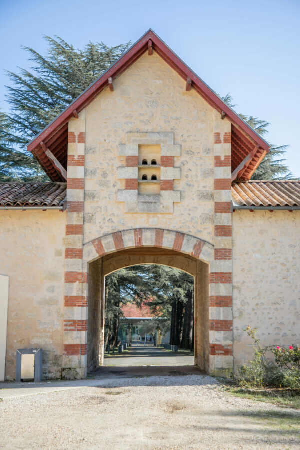 Carine - Bleu Paon – Image 8