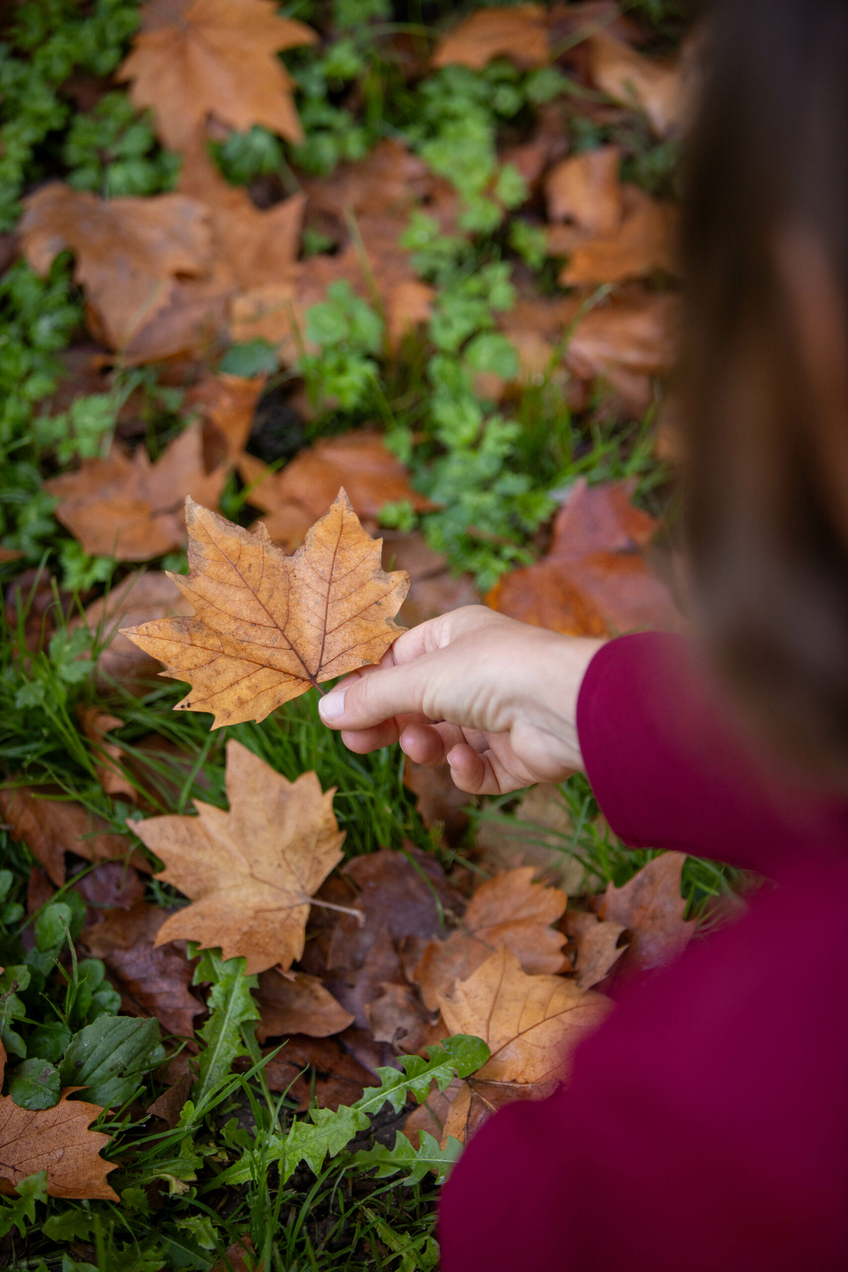 Faustine - Bordeaux – Image 5